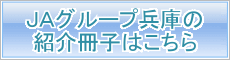 �Ђ傤���̂i�`�O���[�v2012